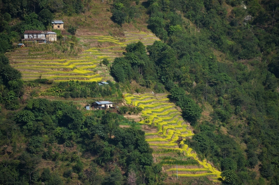 Villaggi-Kavrepalanchock-CiaoNamastè-Nepal